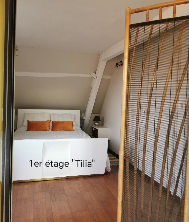 Bed and Breakfast La Coticia Coutiches Екстер'єр фото