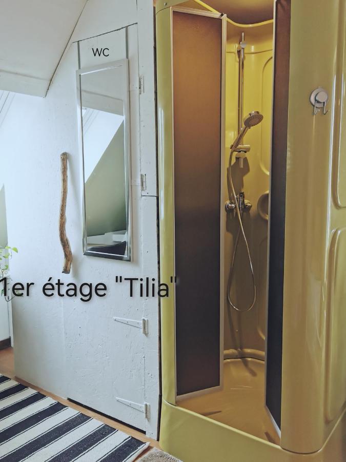 Bed and Breakfast La Coticia Coutiches Екстер'єр фото